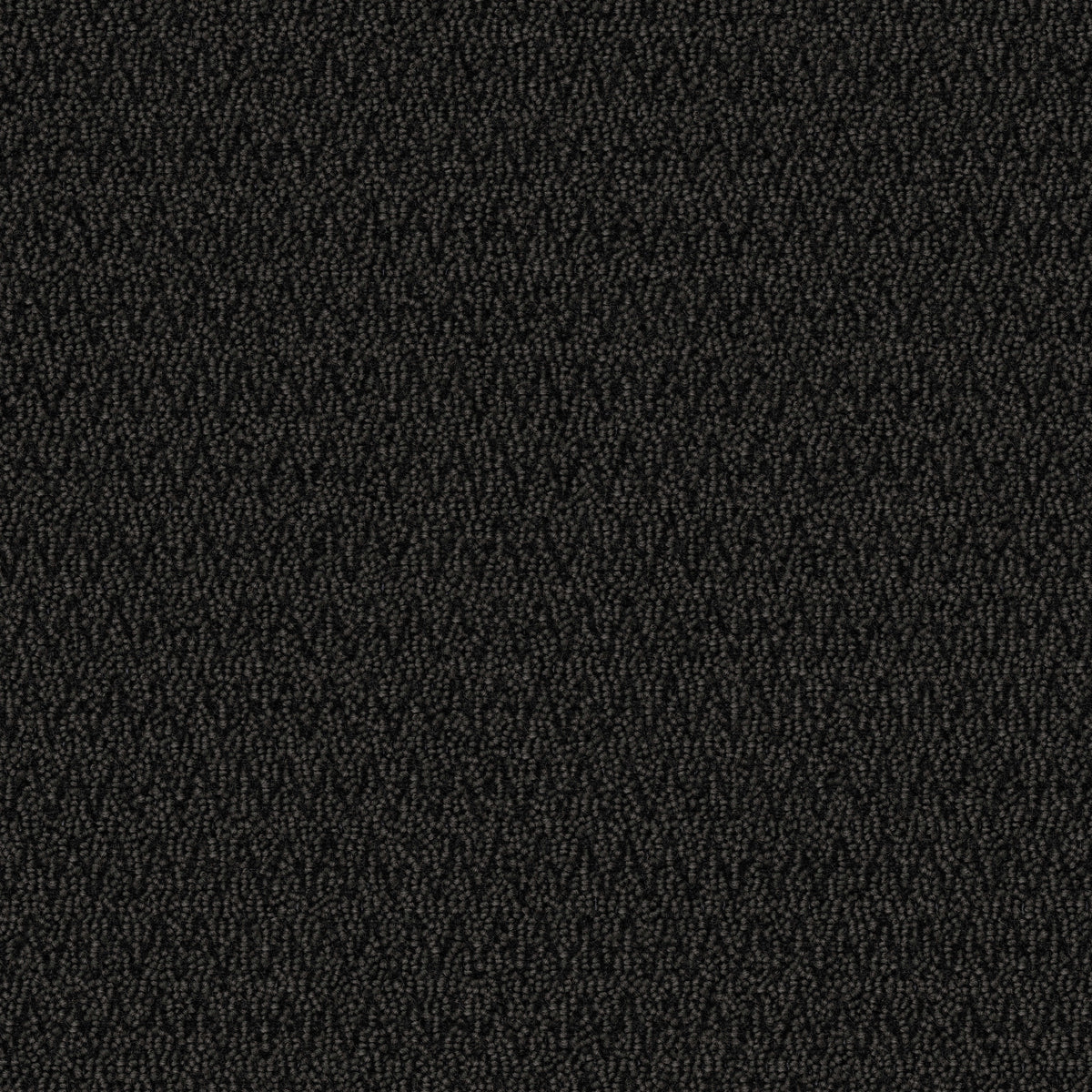 Mohawk Group - Tuff Stuff II - First Step II - Commercial Carpet Tile ...