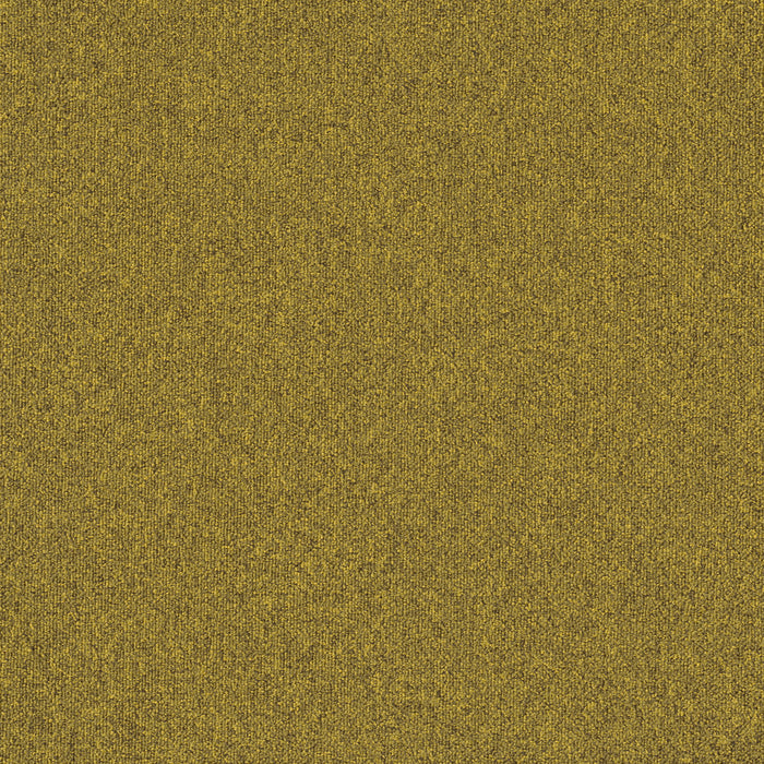 Mohawk - Creative Spark - 24 in. x 24 in. - Commercial Carpet Tile - Sunny Disposition