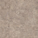 Armstrong Commercial - Natural Creations - Aspen - 18 in. x 18 in. - Luxury Vinyl Tile - Elk