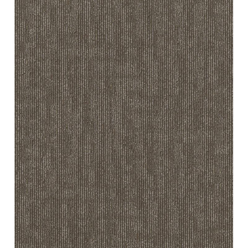 Philadelphia Commercial - Affinity Collection - Semblance - Carpet Tile - Alliance
