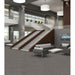 Philadelphia Commercial - Curious Wonder - Carpet Tile - Adoration Room Scene