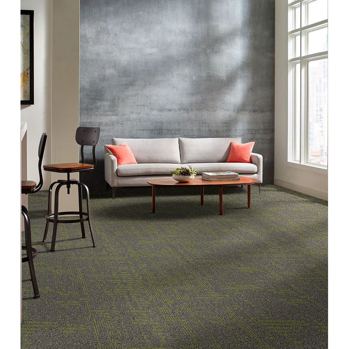 Philadelphia Commercial - Curious Wonder - Carpet Tile - Amazement Installed