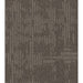 Philadelphia Commercial - Curious Wonder - Carpet Tile - Esoteric