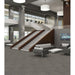 Philadelphia Commercial - Curious Wonder - Carpet Tile - Inquisitive Installled