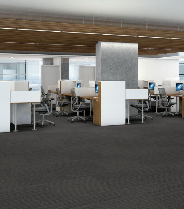 Philadelphia Commercial - Novelty - Carpet Tile - Vigor Office Install