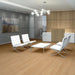 Philadelphia Commercial - Willow Oak 12 - Luxury Vinyl Plank - Golden Oak Room