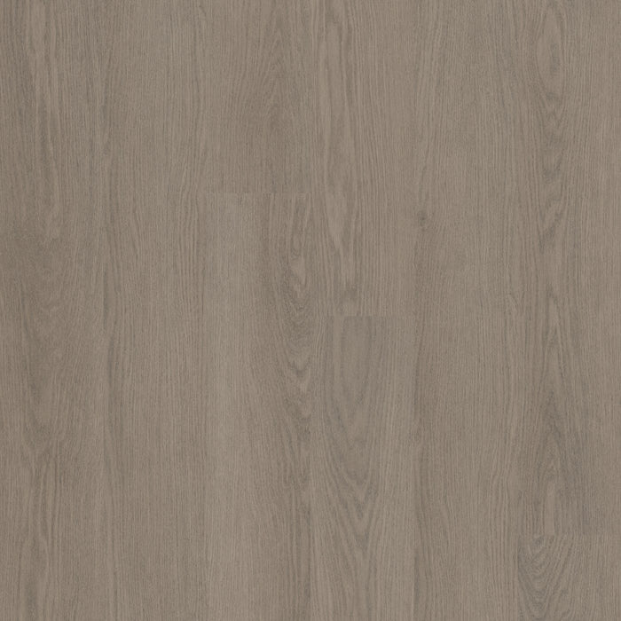 Philadelphia Commercial - Willow Oak 20 - Luxury Vinyl Plank - Dovetail Oak