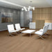 Philadelphia Commercial - Willow Oak 20 - Luxury Vinyl Plank - Butternut Oak Room Scene