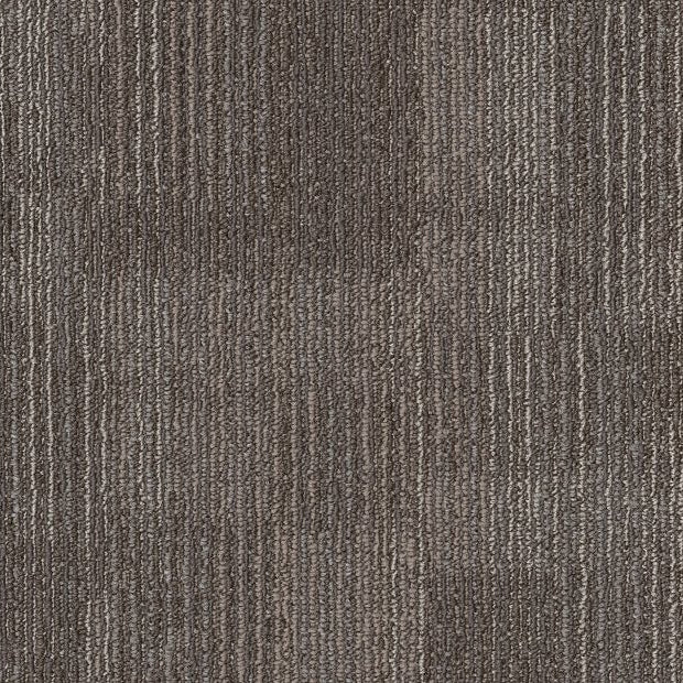 Philadelphia Commercial - Elevate - Ascension Carpet Tile - Recast 00700