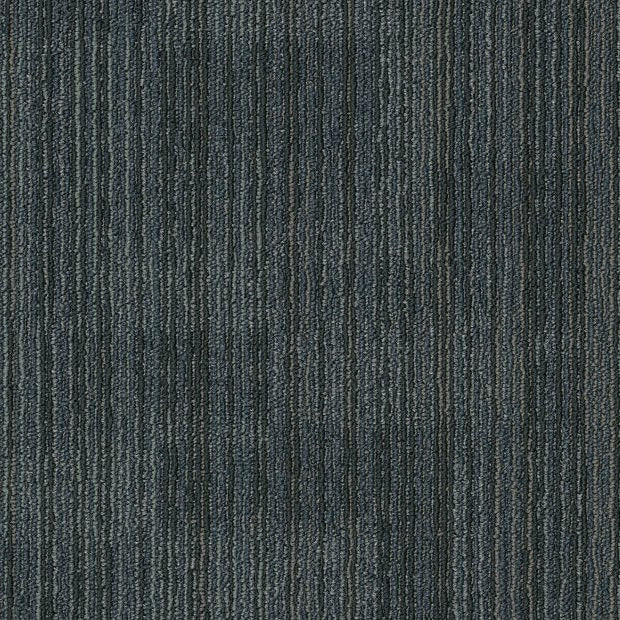 Philadelphia Commercial - Elevate - Ascension Carpet Tile - Reprise 00300