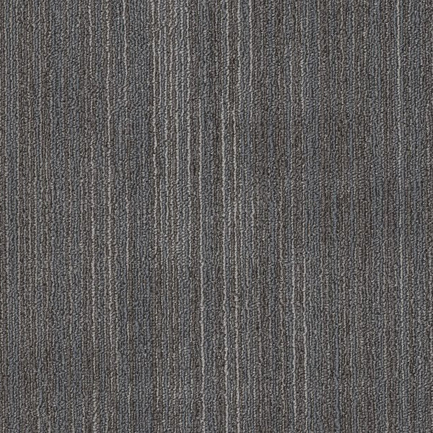 Philadelphia Commercial - Elevate - Ascension Carpet Tile - Revise 00500