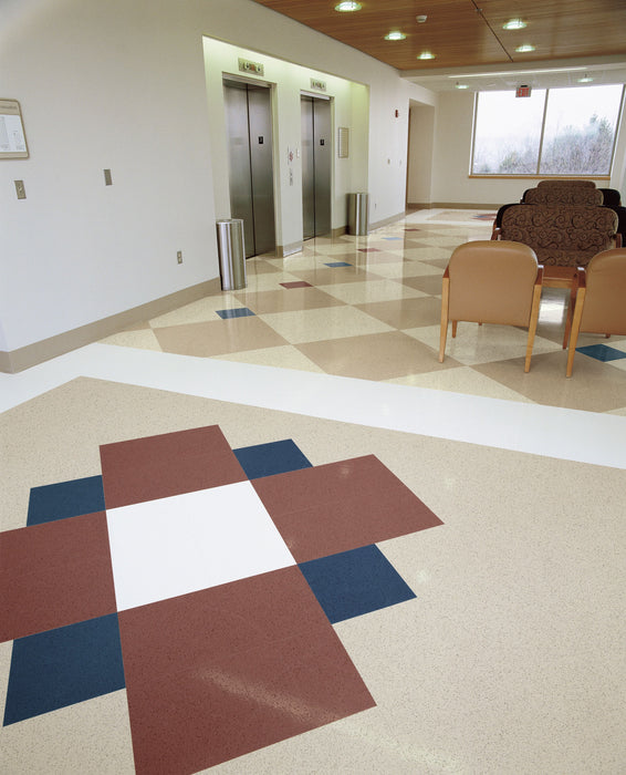 Armstrong Commercial - Premium Excelon Feature Tile and Strip - 12 in. x 12 in. Vinyl Composition Tile - Chalk II Installed