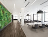 Armstrong Commercial - Parallel USA 20 - 6 in. x 48 in. - Luxury Vinyl Tile - Savannah Walnut Endearing Installed
