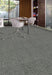 Aladdin Commercial - Find A Way - Restful Trek - Commercial Carpet Tile - Concrete Installed