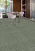 Aladdin Commercial - Find A Way - Restful Trek - Commercial Carpet Tile - Sage Installed