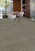 Aladdin Commercial - Find A Way - Restful Trek - Commercial Carpet Tile - Birch Installed