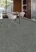 Aladdin Commercial - Find A Way - Meandering Trail - Commercial Carpet Tile - Concrete Installed