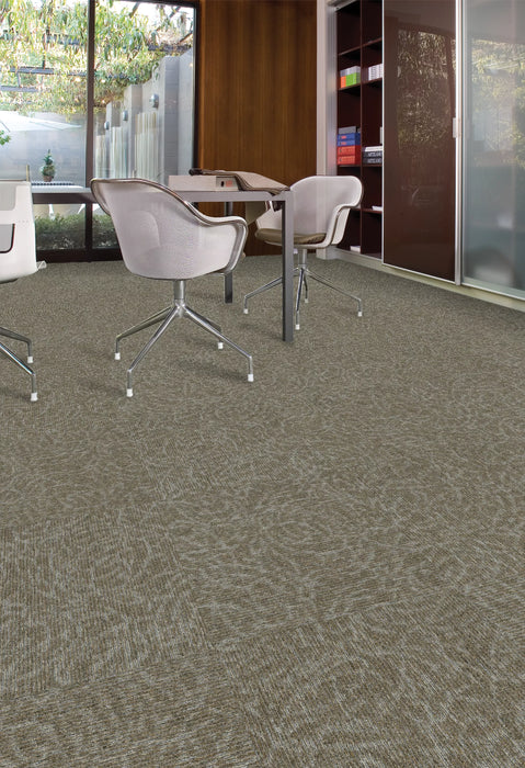 Aladdin Commercial - Find A Way - Meandering Trail - Commercial Carpet Tile - Birch Installed