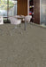 Aladdin Commercial - Find A Way - Meandering Trail - Commercial Carpet Tile - Birch Installed