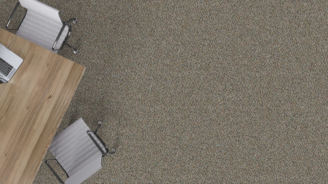 Mohawk - Faculty Renewal - 24 in. x 24 in. - Commercial Carpet Tile - The Narrows Installed
