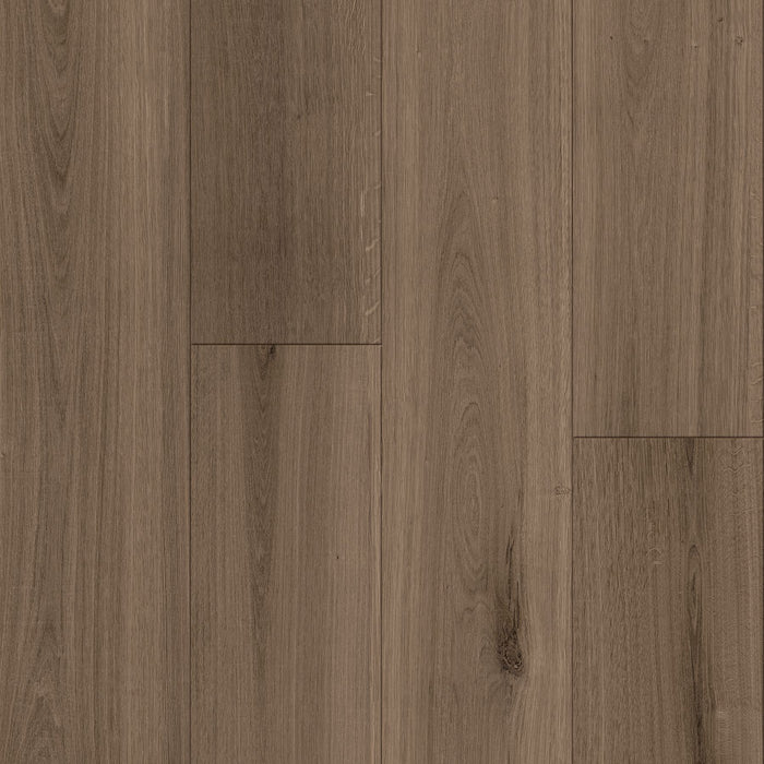Armstrong Commercial - Biome - 6 in. x 48 in. Luxury Vinyl Tile - Montane Uluru
