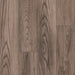 Armstrong Commercial - Biome - 6 in. x 48 in. Luxury Vinyl Tile - Earthen Caspian