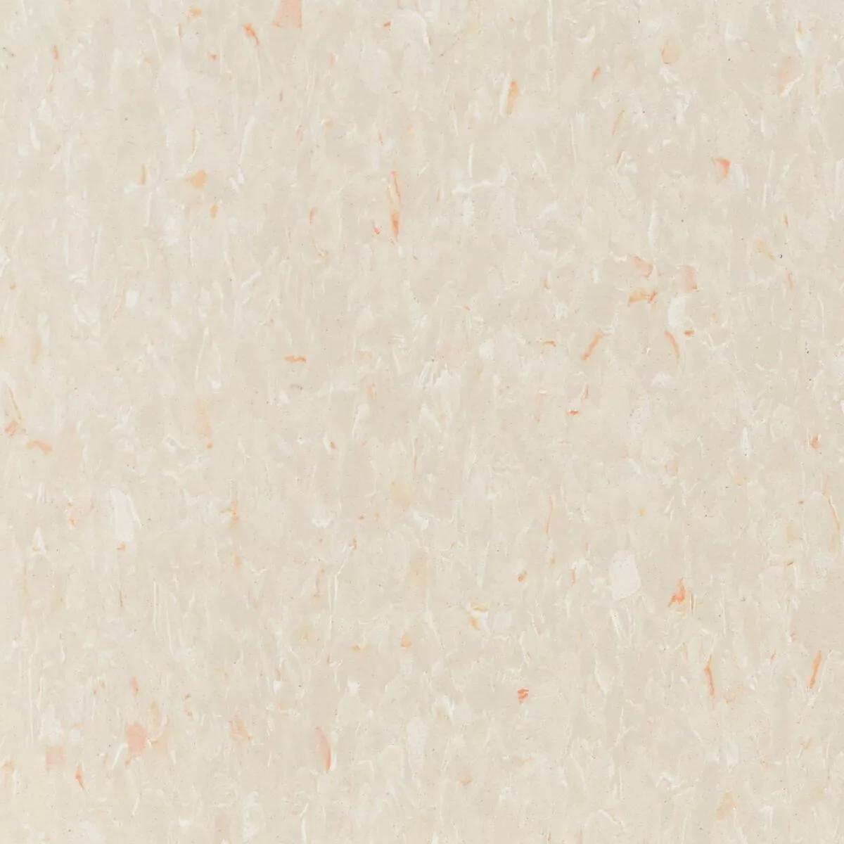 Tarkett - Vinyl Composition Commercial Tile II (VCT) - 329 Pebble Beach