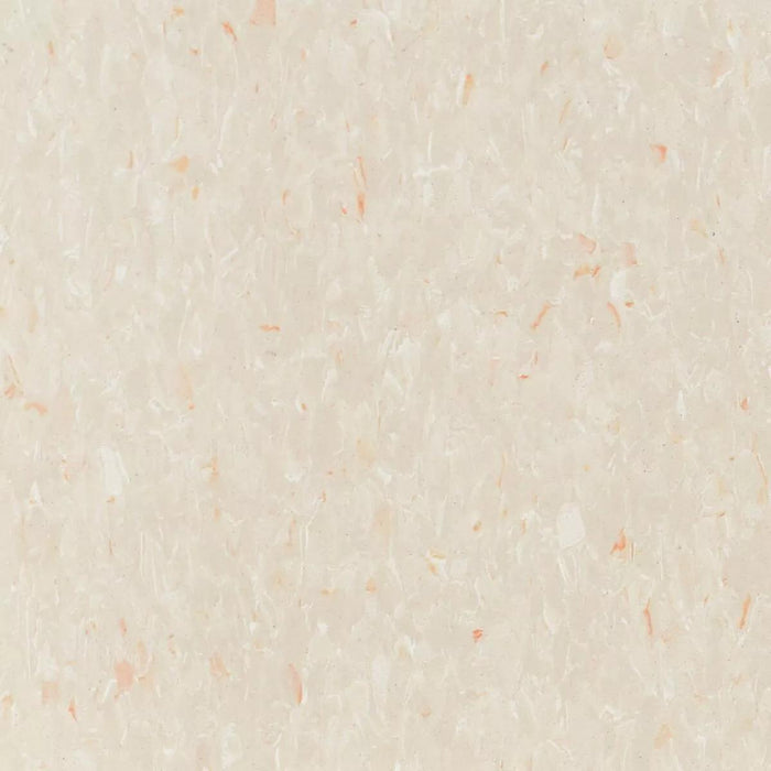 Tarkett - Vinyl Composition Commercial Tile II (VCT) - 329 Pebble Beach