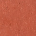 Tarkett - Vinyl Composition Commercial Tile II (VCT) - 503 Adobe