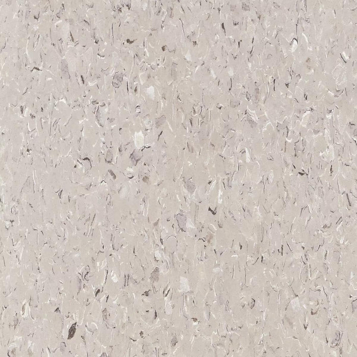 Tarkett - Vinyl Composition Commercial Tile II (VCT) - 509 Pewter White