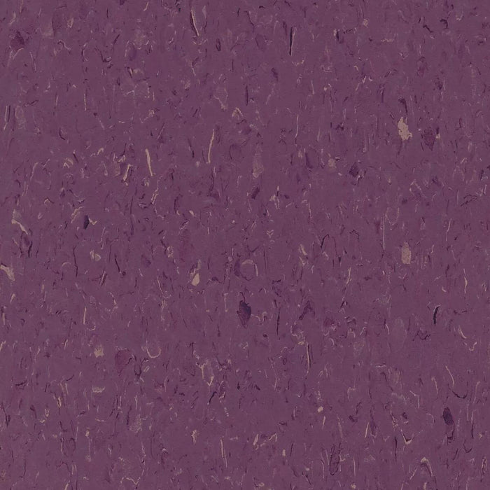 Tarkett - Vinyl Composition Commercial Tile II (VCT) - 513 Deep Plum