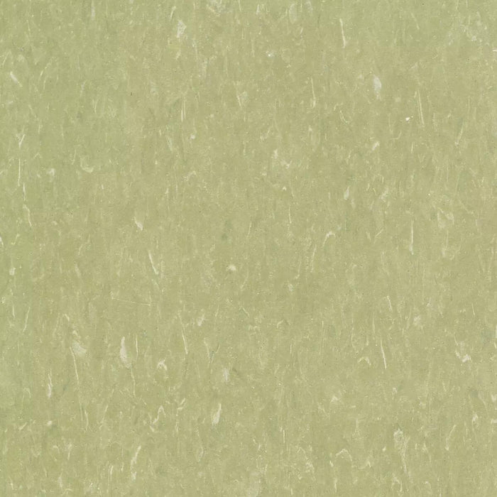 Tarkett - Vinyl Composition Commercial Tile II (VCT) - 526 Green Grape