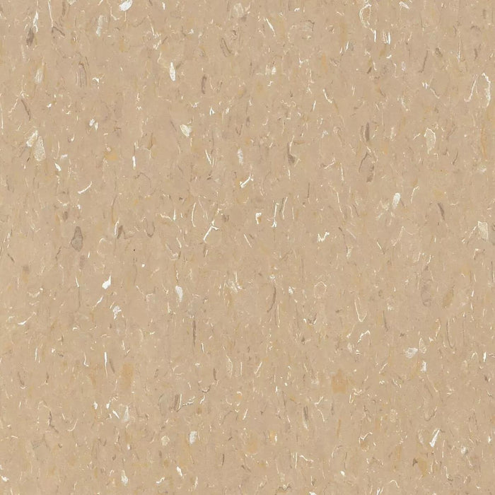 Tarkett - Vinyl Composition Commercial Tile II (VCT) - 527 Military Tan