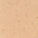 Tarkett - Vinyl Composition Commercial Tile II (VCT) - 571 Earth