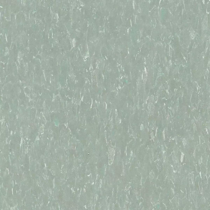Tarkett - Vinyl Composition Commercial Tile II (VCT) - 588 Meadow