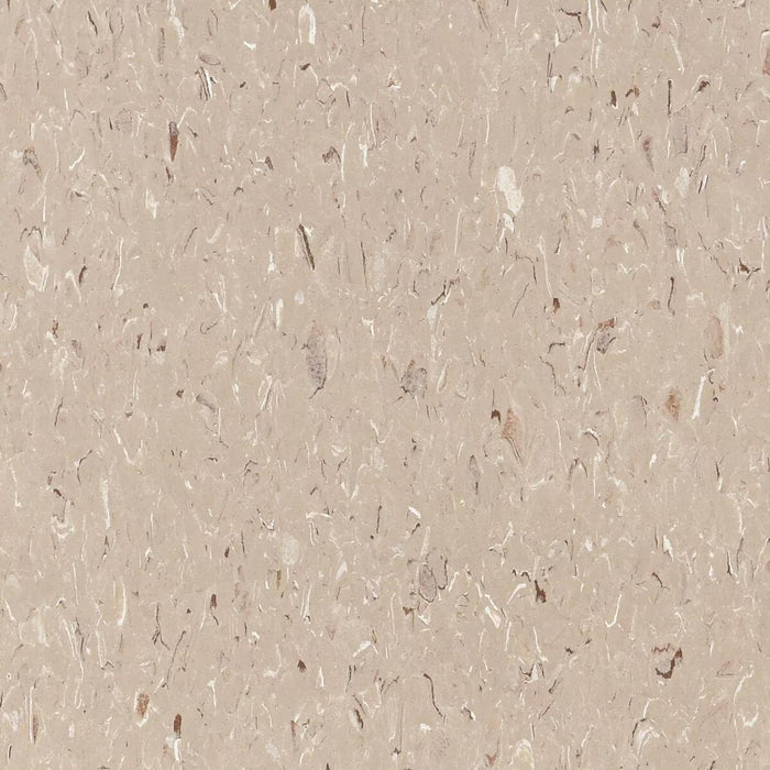 Tarkett - Vinyl Composition Commercial Tile II (VCT) - 593 Mushroom