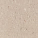 Tarkett - Vinyl Composition Commercial Tile II (VCT) - 593 Mushroom