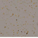 Johnsonite - Eco-Naturals Corktones - 24 in. x 24 in. Commercial Rubber Tile - Pebble