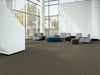 EF Contract - Stride - 24 in. x 24 in. - Commercial Carpet Tile - Pinecone Installed