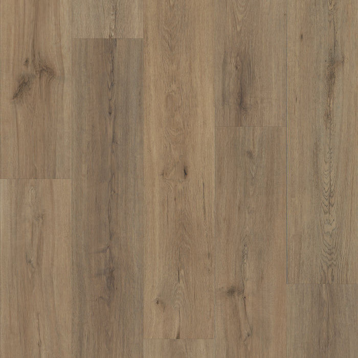 Philadelphia Commercial - Fortitude - Luxury Vinyl Plank - Wild Dunes