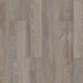 Philadelphia Commercial - Ardent - SPC Rigid Plank - Grey Chestnut