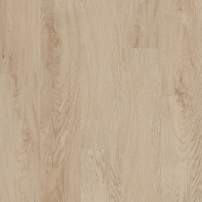 Philadelphia Commercial - Indwell SPC - Luxury Vinyl Plank - Sand Dune