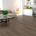 Philadelphia Commercial - Indwell SPC - Luxury Vinyl Plank - Seneca Oak Room Scene