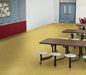 Philadelphia Commercial - Color Scope 20 - Luxury Vinyl Tile - Merigold floor installation