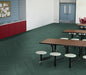 Philadelphia Commercial - Color Scope 5 - Luxury Vinyl Tile - Arbor School Install