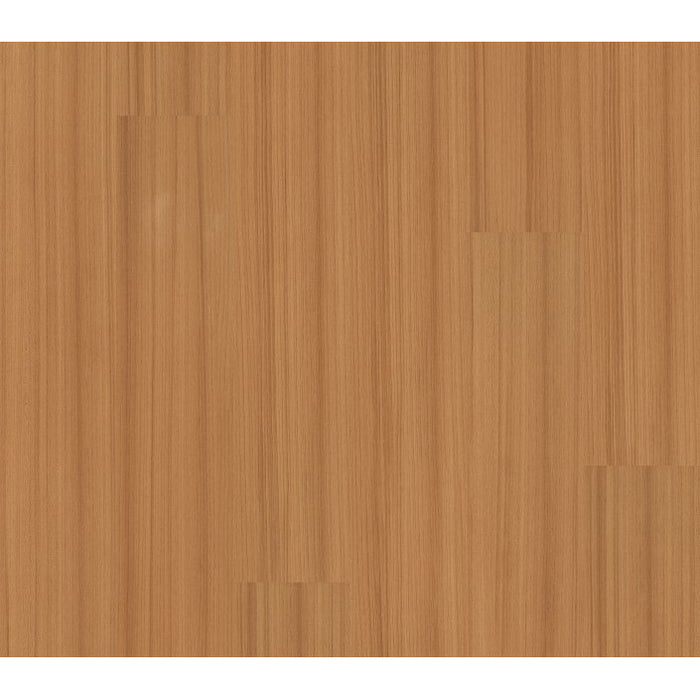 Philadelphia Commercial - Color Scope 5 - Luxury Vinyl Tile - Mandarin
