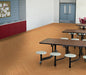Philadelphia Commercial - Color Scope 5 - Luxury Vinyl Tile - Mandarin Installed