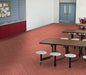Philadelphia Commercial - Color Scope Ille - Luxury Vinyl Tile - Coral floor installation