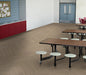 Philadelphia Commercial - Color Scope 20 - Luxury Vinyl Tile - Bistre floor installation
