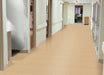 Armstrong Commercial - Standard Excelon Imperial Texture - Vinyl Composition Tile (VCT) - Camel Beige Installed